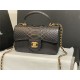 MINI FLAP BAG WITH TOP HANDLE AS2431 Snake Black High