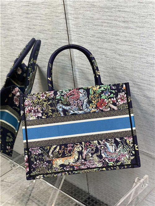 MEDIUM Dior BOOK TOTE Multicolor D-Constellation Embroidery High