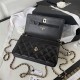 WALLET ON CHAIN Lambskin & Gold-Tone Metal AP1450 Black A