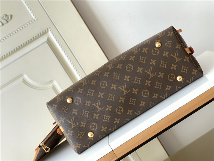 Louis Vuitton CARRYALL MM Monogram coated canvas M46197 High