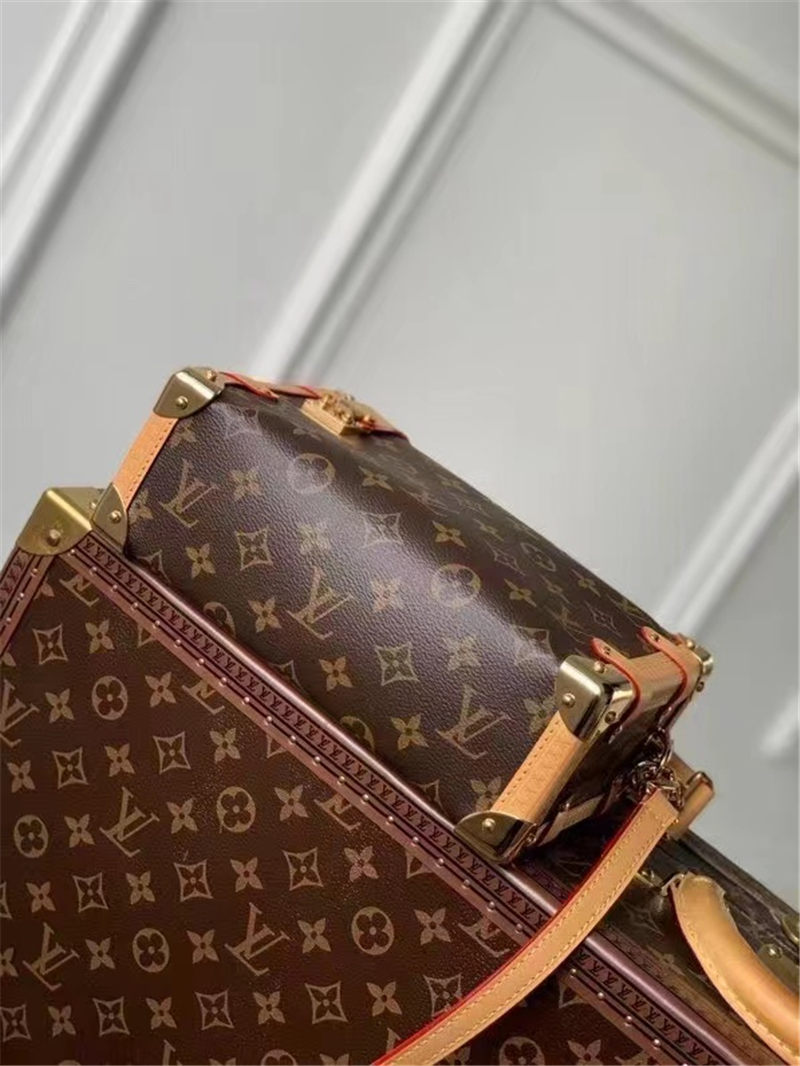 Louis Vuitton SIDE TRUNK Monogram coated canvas M46358 High