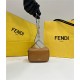 Fendi First Sight Nano bag Leather Brown High