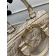 Louis Vuitton SPEEDY BANDOULIÈRE 20 Sprayed and embossed grained cowhide leather M46163 High