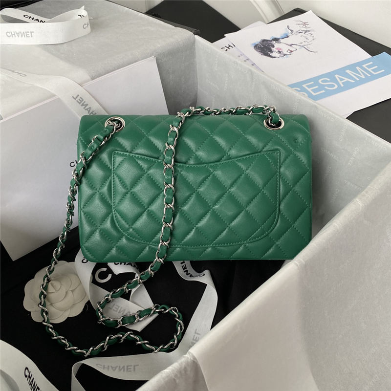 Small CLASSIC HANDBAG Lambskin Silver Metal Green A