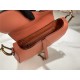 SADDLE BAG Iridescent-finish metal Grained Calfskin Coral High