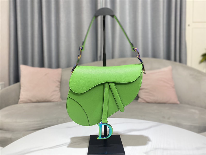 SADDLE BAG Iridescent-finish metal Grained Calfskin Green High