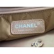 Chanel 22 SMALL HANDBAG Metallic Calfskin & Iridescent-Tone Metal AS3260 High