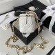 SMALL VANITY WITH CHAIN AP2931 Lambskin & Gold-Tone Metal White A