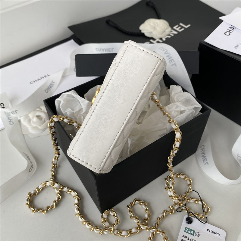 CLUTCH WITH CHAIN Lambskin, Enamel & Gold-Tone Metal AP2944 White A