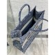 LARGE Dior BOOK TOTE Brocart Embroidery High