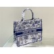 LARGE Dior BOOK TOTE Dior Jardin Botanique Embroidery Blue High