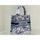 SMALL Dior BOOK TOTE Dior Jardin Botanique Embroidery Blue High