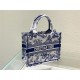 SMALL Dior BOOK TOTE Dior Jardin Botanique Embroidery Blue High