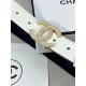 Chanel BELT Calfskin Gold/Silver Metal & Strass 30MM 2-1005 White 2022 High