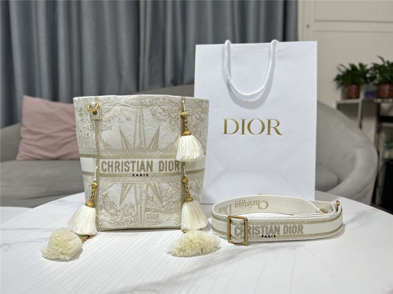 Dior SMALL D-BUBBLE BUCKET BAG Rêve d'Infini Embroidery Gold High