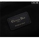 Dior LARGE SHOPPING TOTE Gold-Metal Black High