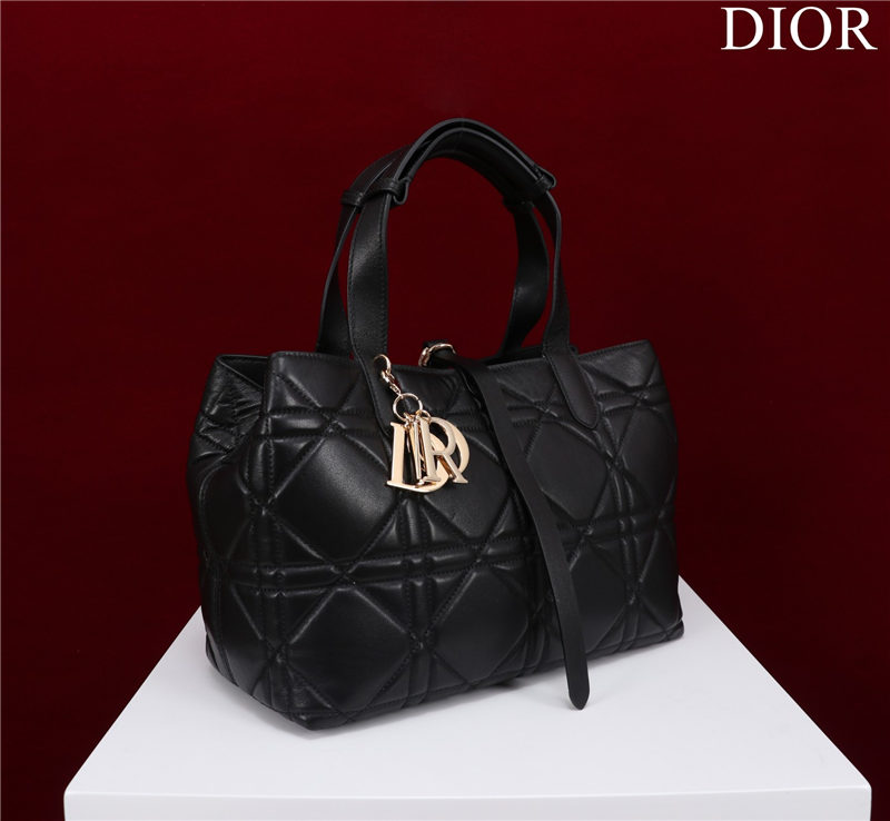 Dior SMALL SHOPPING TOTE Gold-Metal Black High