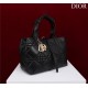 Dior SMALL SHOPPING TOTE Gold-Metal Black High