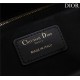 Dior SMALL SHOPPING TOTE Gold-Metal Black High