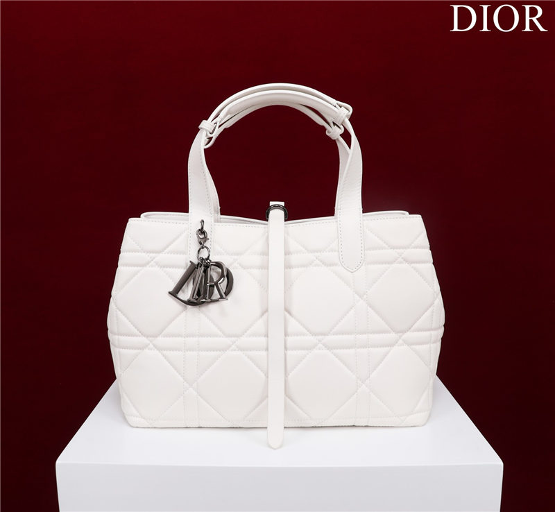 Dior SMALL SHOPPING TOTE Pewter-Metal White High