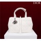 Dior SMALL SHOPPING TOTE Pewter-Metal White High