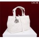 Dior SMALL SHOPPING TOTE Pewter-Metal White High