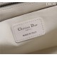 Dior SMALL SHOPPING TOTE Pewter-Metal White High