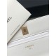 Chanel WALLET ON CHAIN AP2897 Grained Calfskin & Gold-Tone Metal AP2897 White A