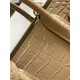 CLASSIC SAC DE JOUR NANO IN Crocodile Beige High