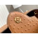 Louis Vuitton Capucines BB Ostrich leather M95393/M48865 Brown High