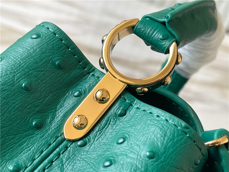 Louis Vuitton Capucines Mini Ostrich leather M95393/M48865 Green High