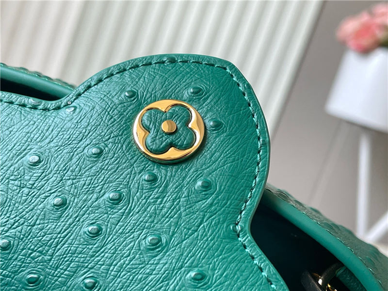 Louis Vuitton Capucines Mini Ostrich leather M95393/M48865 Green High