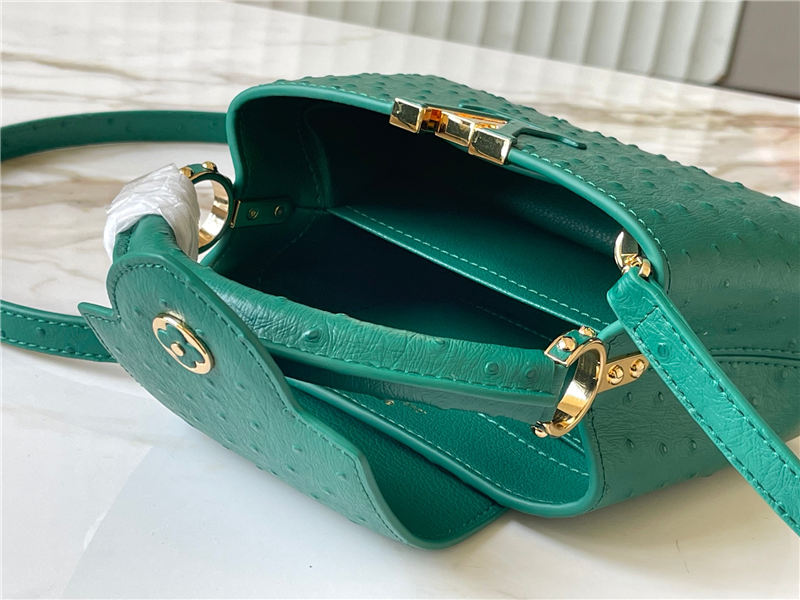 Louis Vuitton Capucines Mini Ostrich leather M95393/M48865 Green High