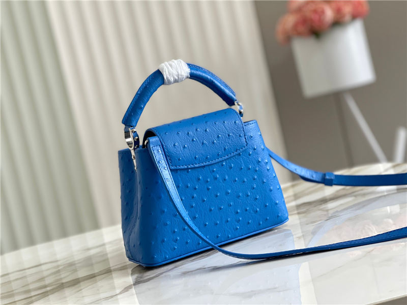 Louis Vuitton Capucines Mini Ostrich leather M95393/M48865 Blue High