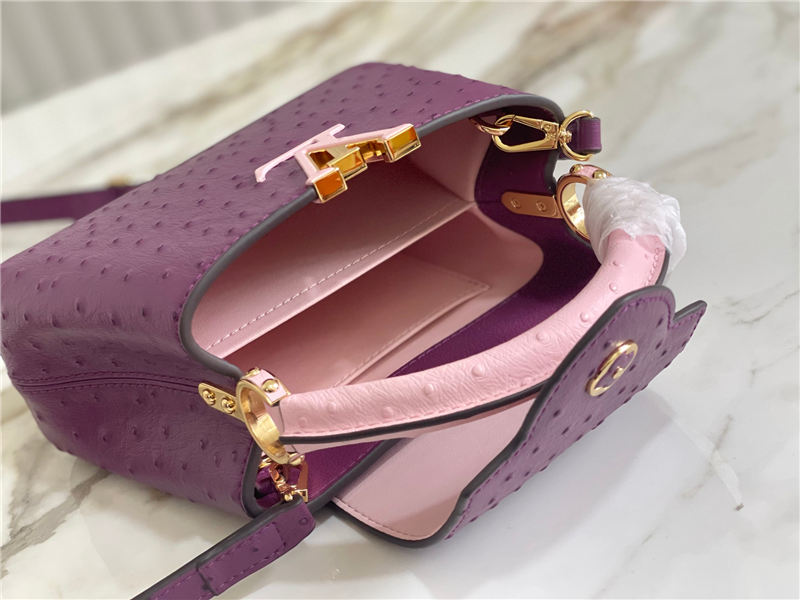 Louis Vuitton Capucines Mini Ostrich leather M95393/M48865 Purple High