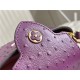 Louis Vuitton Capucines Mini Ostrich leather M95393/M48865 Purple High