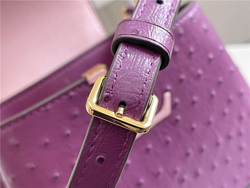 Louis Vuitton Capucines Mini Ostrich leather M95393/M48865 Purple High