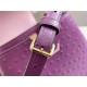 Louis Vuitton Capucines Mini Ostrich leather M95393/M48865 Purple High