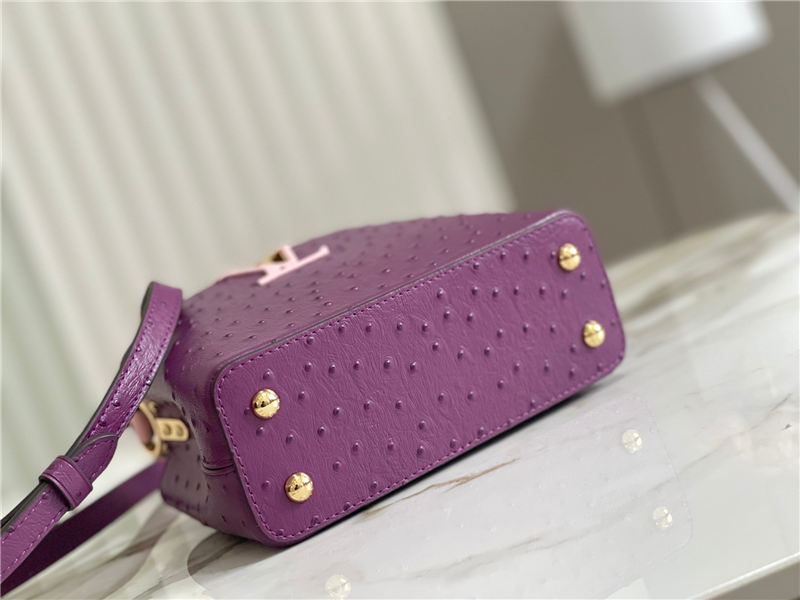 Louis Vuitton Capucines Mini Ostrich leather M95393/M48865 Purple High