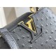 Louis Vuitton Capucines Mini Ostrich leather M95393/M48865 Black High