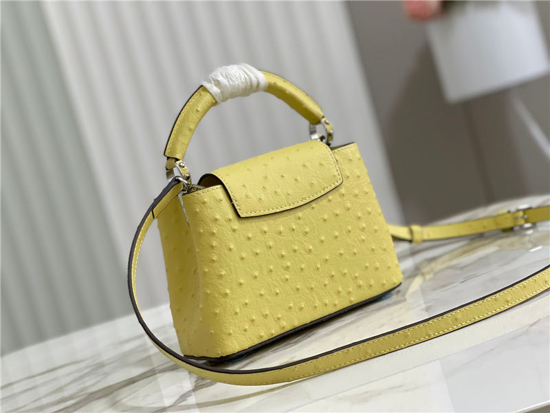 Louis Vuitton Capucines Mini Ostrich leather M95393/M48865 Lemon High