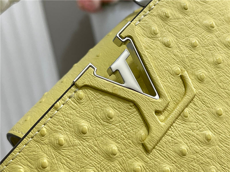 Louis Vuitton Capucines Mini Ostrich leather M95393/M48865 Lemon High