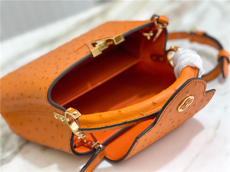 Louis Vuitton Capucines Mini Ostrich leather M95393/M48865 Orange High