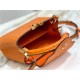 Louis Vuitton Capucines Mini Ostrich leather M95393/M48865 Orange High