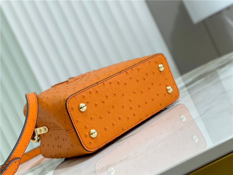 Louis Vuitton Capucines Mini Ostrich leather M95393/M48865 Orange High