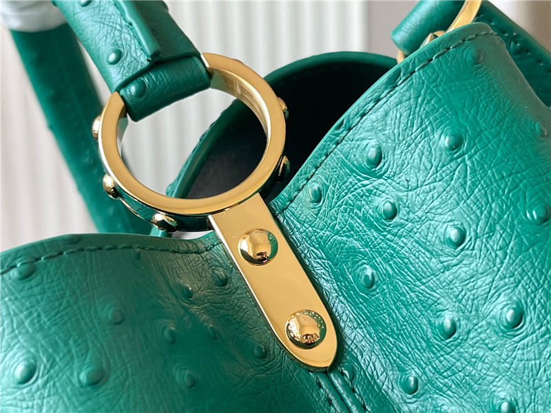 Louis Vuitton Capucines MM Ostrich leather M95393/M48865 Green High