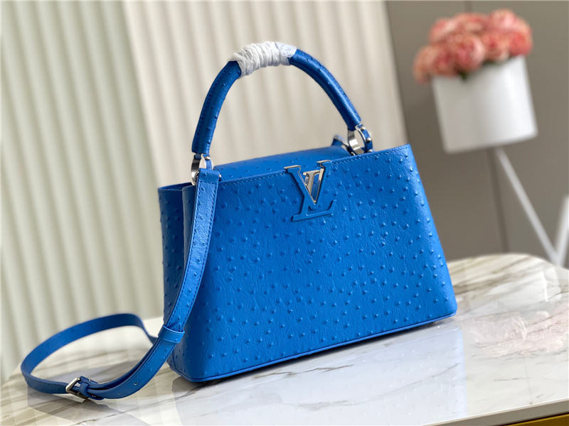 Louis Vuitton Capucines MM Ostrich leather M95393/M48865 Blue High