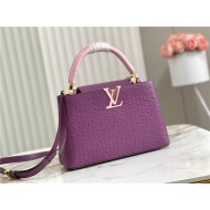 Louis Vuitton Capucines MM Ostrich leather M95393/M48865 Purple High