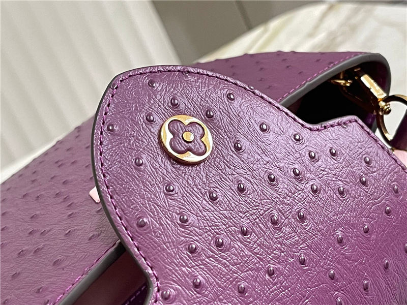 Louis Vuitton Capucines MM Ostrich leather M95393/M48865 Purple High