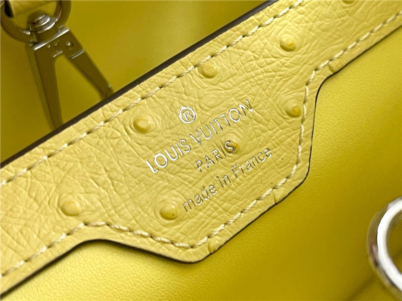 Louis Vuitton Capucines MM Ostrich leather M95393/M48865 Lemon High